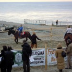 Varazze_1.01.2011_Free Horses Ranch di Alpicella in riva al mare